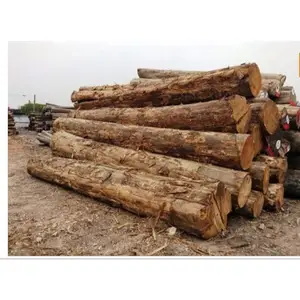 Acacia Pine Wood Log Customized Manufacturer for America Market