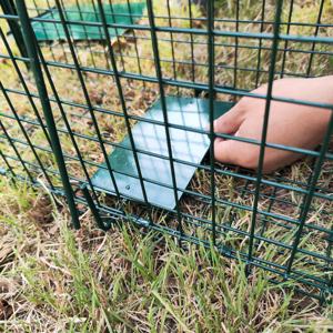 Piège en métal de grande taille pour animaux, <span class=keywords><strong>cage</strong></span> de piège à chien pour attraper des animaux, raton laveur, chat errant, marmotte, Opossum - Product Image 4