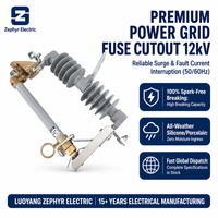 Fusible de coupure haute tension extérieur 36KV 100A 50Hz HRW11-10