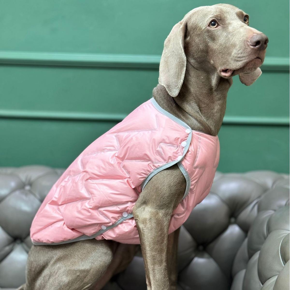 สีแดงและสีน้ำเงิน