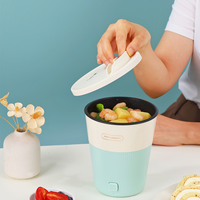 Marmite électrique domestique Portable avec cuisinière facile à prendre Mini tasse électrique Noddle en acier inoxydable plaque chauffante couvercle en verre