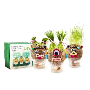 DIY Grass Doll Growing Kit Eco Friendly Bday Goodies, Playdate Activity, Party Favors, Craft and Art Gift for Kids