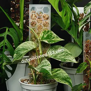 Bâton de mousse en plastique modulaire bricolage <span class=keywords><strong>pour</strong></span> bâtons de <span class=keywords><strong>plantes</strong></span> Monstera, <span class=keywords><strong>Support</strong></span> de <span class=keywords><strong>plantes</strong></span> <span class=keywords><strong>grimpantes</strong></span>, <span class=keywords><strong>plantes</strong></span> <span class=keywords><strong>d</strong></span>'<span class=keywords><strong>intérieur</strong></span> - Product Image 5