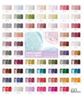 Ensemble de vernis à ongles professionnel en marque privée OEM, 15 ml, vente en gros, vernis à ongles en gel UV de haute qualité, à faire tremper