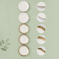 Service de table de luxe 16 pièces en porcelaine fine peinte à la main avec or véritable, idéal pour cadeau de mariage, 5 styles haut de gamme
