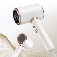 Léger 2000W Puissant Sèche-cheveux ionique négatif à faible bruit Sèche-cheveux à vent chaud pour une utilisation en extérieur Voyage Portable