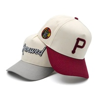 Gorra de Béisbol Bordada Impermeable de Alta Calidad, 6 Paneles, Unisex, Ajustable, de Lona de Algodón, Informal, para Primavera/Verano, Talla Adulto