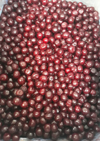 2025 WENYAO CCD trieurs de couleurs pour grains de café café cerise trieuse avec la meilleure précision de tri