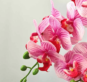 Piccola Pianta Artificiale di Orchidea Phalaenopsis - Fiore Finto in <span class=keywords><strong>Vaso</strong></span> Ecologico Sempreverde Senza Necessità di Irrigazione per Capodanno, Laurea, Pasqua - Product Image 4