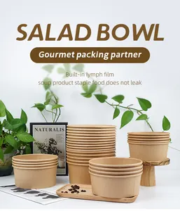 Özel tek kullanımlık gıda yemek kutusu mikrodalga fırın kağıt salata kasesi parçalanabilir plastik kapaklı gıda ambalaj yemek kabı götürmek