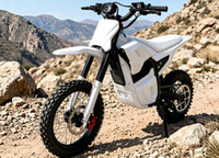 Motos électriques tout-terrain M5 pas chères pour adultes, vente en gros, 1200W, moteur central, moto électrique populaire 50km/h pour l'Amérique du Sud