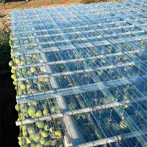 Tấm lợp ngoài trời hiện đại polycarbonate trong suốt-Tấm tôn rõ ràng cho mái nhà thân thiện với môi trường Bền - Product Image 4