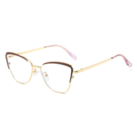 Vente flash - Lunettes anti-lumière bleue pour femmes de haute qualité avec imprimé animal, monture transparente en acier inoxydable