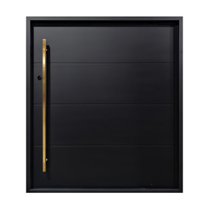 <span class=keywords><strong>Porte</strong></span> <span class=keywords><strong>d</strong></span>'<span class=keywords><strong>entrée</strong></span> pivotante moderne de luxe en fer, antivol, pour villas, <span class=keywords><strong>entrée</strong></span> principale, avec taille personnalisée, noire - Product Image 3