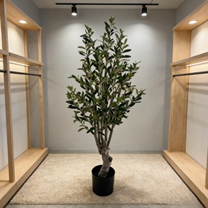 ต้นมะกอกเทียม พลาสติก เป็นมิตรกับสิ่งแวดล้อม ใบไม้เสมือนจริง ทนทาน น้ำหนักเบา รีไซเคิลได้ ใช้ได้ทั้งภายในและภายนอกอาคาร - Product Image 6