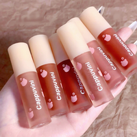 Gloss à lèvres en gros, tube en aluminium, fruit de capsicum, végétalien, effet repulpant, laque, marque privée, liquide, sans produits chimiques, waterproof, certifié CE 3