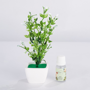 Bán Buôn Chất Lượng Cao Nhân Tạo Thực Vật Khuếch Tán Với Tinh Dầu 10Ml Gốm Đồ Dùng Nhà Hương Liệu - Product Image 6
