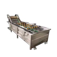Commerciële grote automatische datavasmachine voor kokosnoot, appel, avocado, vanille, tomaat, bladgroenten, fruit, maïs.