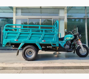Excellent Performance <b>Cheap</b> Gasoline Cargo Trike Customizable Tricycle Optional Accessories for Dumper/Loader/Transport - Product Image 6