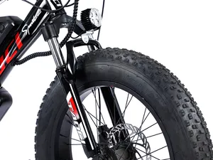 Vélo électrique de 20 pouces, 350W, 36V, en acier à haute teneur en carbone, gros pneu, vtt pour adultes