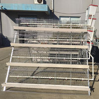 Nuevo gallinero de acero galvanizado tipo A para 1000 aves, jaula de malla flexible para gallinas ponedoras, fabricación de 2 años de duración