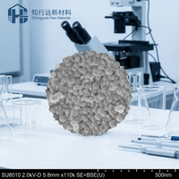 Polvo de Dióxido de Estaño Nano de Alta Pureza 99.99% SnO2 Nanopartículas Marca ZXY Blanco 25kg/bolsa Optoelectrónica de Alta Gama Nueva Energía