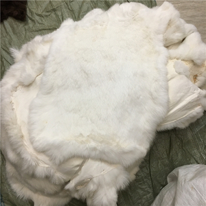 Piel de conejo Rex auténtica, color <span class=keywords><strong>chinchilla</strong></span>, de Shandong, China - Product Image 3