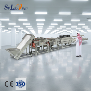 Machine industrielle automatique de traitement des <span class=keywords><strong>dattes</strong></span>, ligne de lavage, dénoyautage, calibrage et séchage de <span class=keywords><strong>dattes</strong></span> haute capacité pour usine de <span class=keywords><strong>dattes</strong></span> - Product Image 1