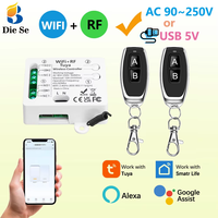 Interrupteur intelligent WiFi RF Tuya 2 canaux, compatible Alexa Google, AC 90-250V 10A 433MHz, 20 télécommandes pour porte de garage, vente en gros