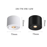 Plafonnier LED minimaliste d'intérieur, montage en surface, lumière de plafond moderne, petit spot LED rond décoratif
