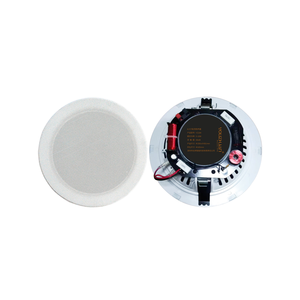 Altoparlante da Soffitto Coassiale da <span class=keywords><strong>6</strong></span> <span class=keywords><strong>Pollici</strong></span> OEM/ODM con Qualità Audio Impressionante, Subwoofer Senza Cornice da 20W per Home Theatre - Product Image 6