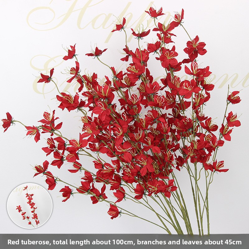 Jasmin de nuit - rouge