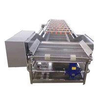 Automatische Bubble Surfing Fruitwasmachine voor fruit en groenten