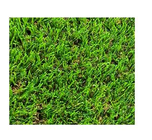 <span class=keywords><strong>Gazon</strong></span> <span class=keywords><strong>synthétique</strong></span> artificiel pour la décoration du sol - Product Image 6