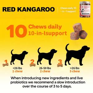 10-em 1 suplemento multifuncional mastiga para cães, glucosamina, ácidos graxos ômega-3, saúde das articulações, probióticos, multivitaminas cão - Product Image 5