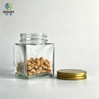 Toples Kaca Persegi Kompak 330ml, Wadah Kosong Berpenutup Ulir untuk Chutney, Makanan Asinan, Penyimpanan di Meja Dapur Rumah Tangga