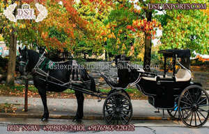 Carruaje Fúnebre Tirado por Caballos Blanco en Venta, Carruaje Moderno para Ceremonia Funeraria - Product Image 2