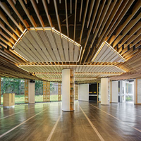Dalles de plafond perforées en aluminium à prix compétitif, finition bois, décoratives, suspendues, ignifuges et étanches