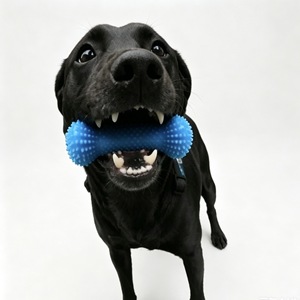<b>Dog</b> Dental Chew Toy Dual-Action Canine Dental Prop and Teeth <b>Brushing</b> Aid <b>for</b> Easy Pet Oral Care - Product Image 2