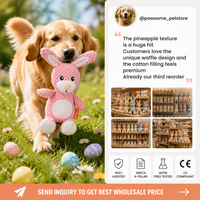Jouet à mâcher pour chien en peluche lapin de Pâques écologique de qualité supérieure, texture gaufrée ananas, matériau polaire durable et interactif
