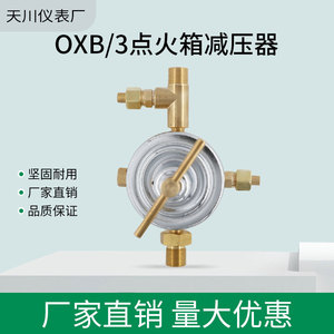 Régulateur de pression de gaz Shanghai Tianchuan OXB/3, régulateur d'oxygène en laiton à une seule étape - Product Image 2