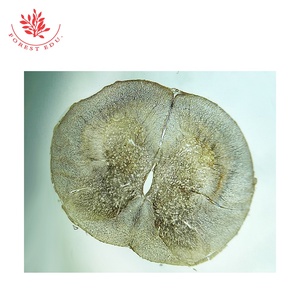 Portaobjetos de microscopio 100 piezas Portaobjetos de histología humana Tipos normales de diapositivas preparadas para biología de educación superior - Product Image 4