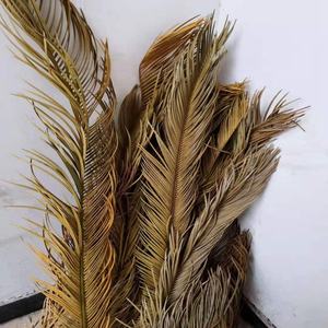 Hojas de E-3222 grande de crisalidocarpus <span class=keywords><strong>Lutescens</strong></span>, hojas secas naturales coloridas de Palma - Product Image 2