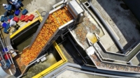 Automatische geconcentreerde jamproductielijn, complete verwerkingsapparatuur, mixer, fruitvergruizer, pulp-concentrator, aseptisch