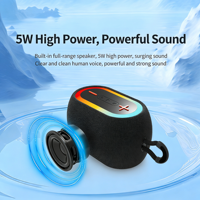 Haut-parleur portable sans fil actif 5W, son HD, étanche, lumière RGB, prend en charge carte TF, clé USB, AUX, TWS pour les fêtes