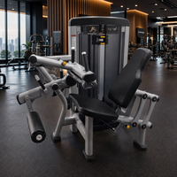 Nouvelle conception, équipement de fitness direct usine, machine à curls/extensions assis pour salle de sport commerciale et usage domestique, à charge par disques, avec garantie