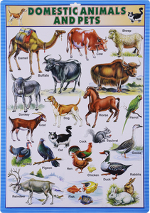 Spaanse Muur Grafiek Met Woorden Leren - Product Image 5