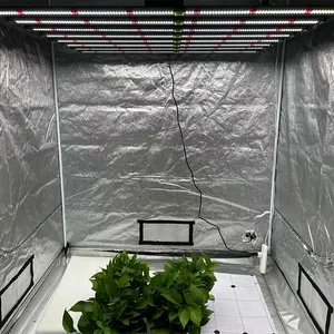 Nuovi nuovi prodotti B3 640w coltiva le luci per piante da interno a spettro pieghevole a led coltiva la barra luminosa commerciale