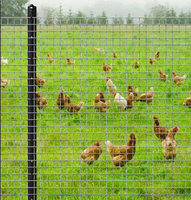 Rouleau de grillage soudé carré robuste en PVC de 1''/2'' avec pliage pour cages de volailles et de lapins agricoles et cloisons d'entrepôt