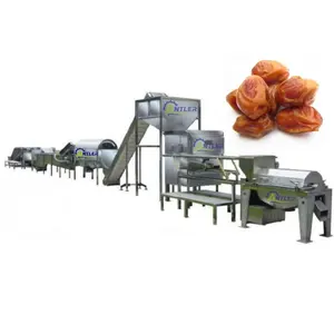 Linea di produzione di melassa di sciroppo di datteri di palma su piccola scala 500 kg/h